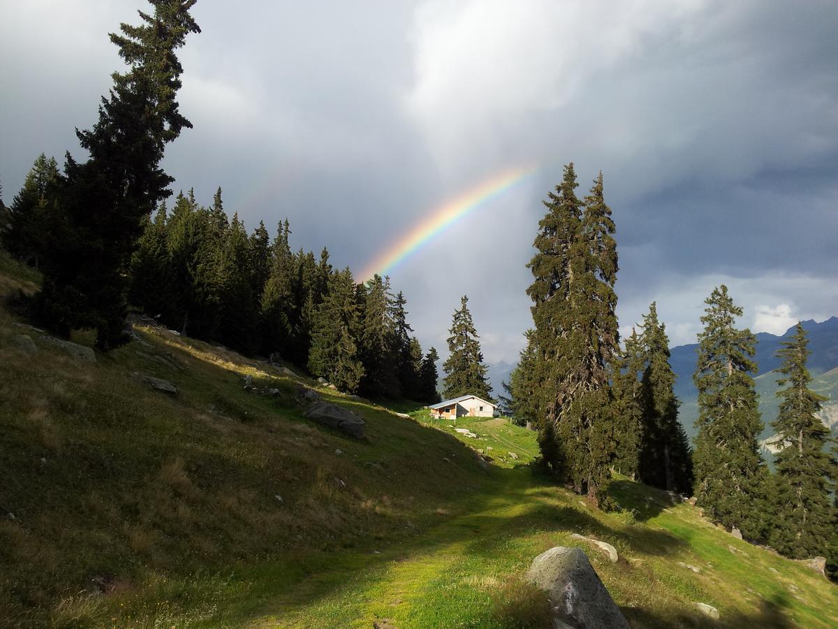 Villa Alphütte Bielerchäller Fiesch Exterior foto